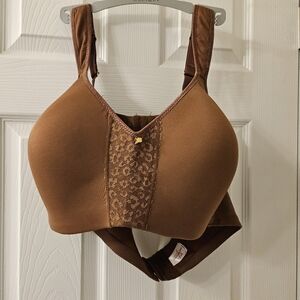 Brown Intimate Bra